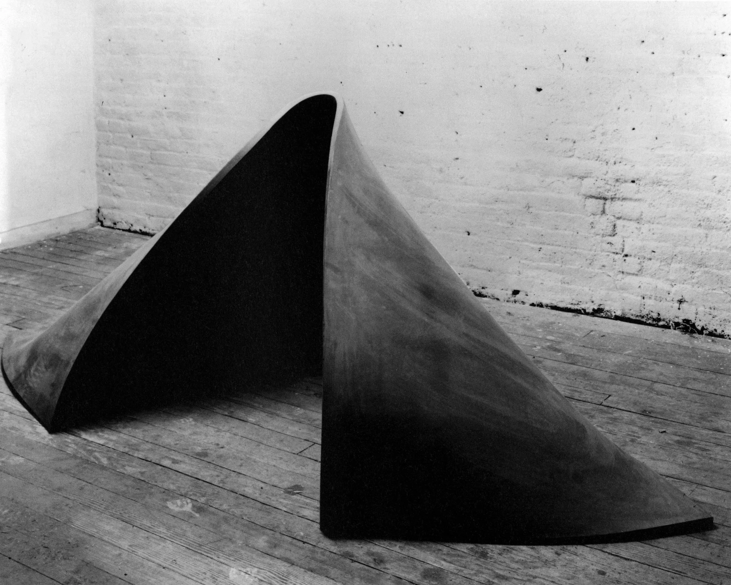 Richard Serra Sculpture アートブック Richard Serra / Richard Serra Sculpture: Forty
